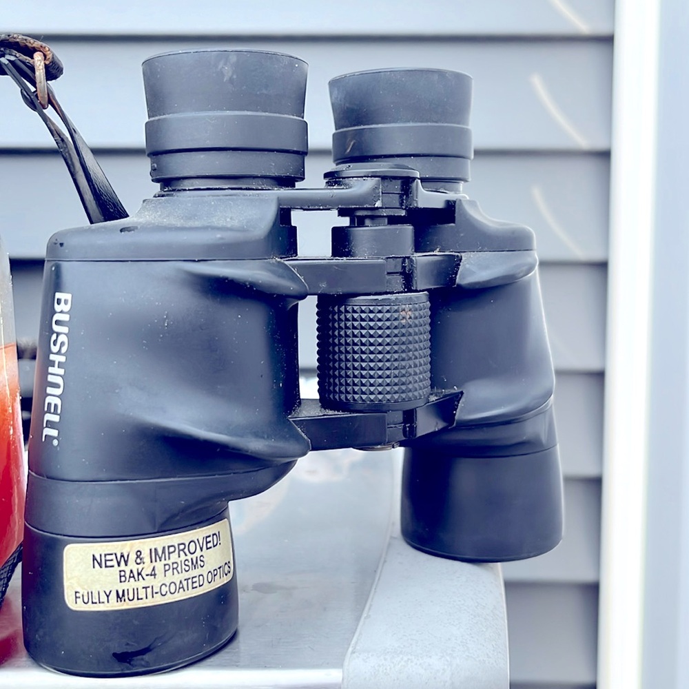 Bushnell 10x42 Binoculars with soft leather case and both end caps ...